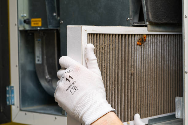 Best Best Air Duct Cleaning Near Me  in Hayneville, AL