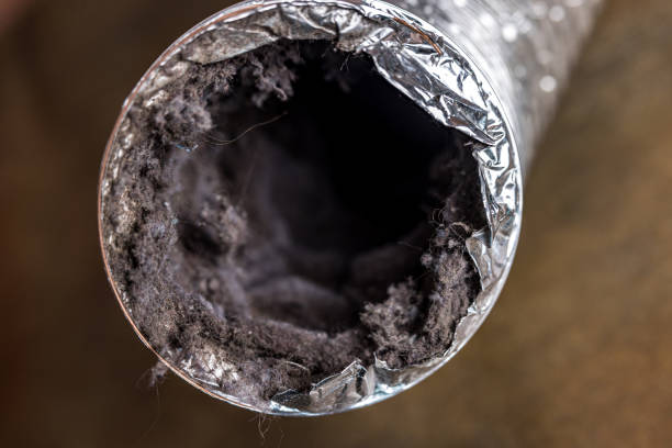 Best Residential Air Duct Cleaning  in Hayneville, AL