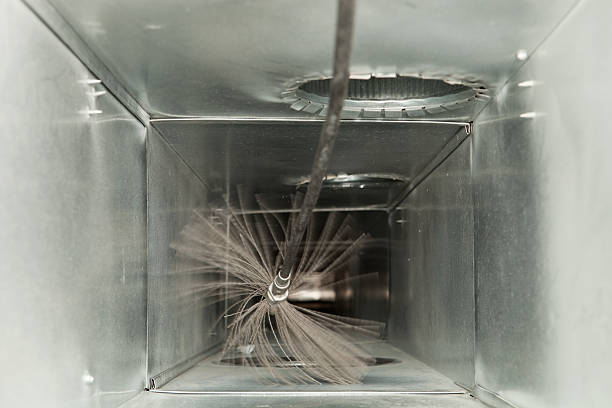Best Professional Duct Cleaning Services  in Hayneville, AL