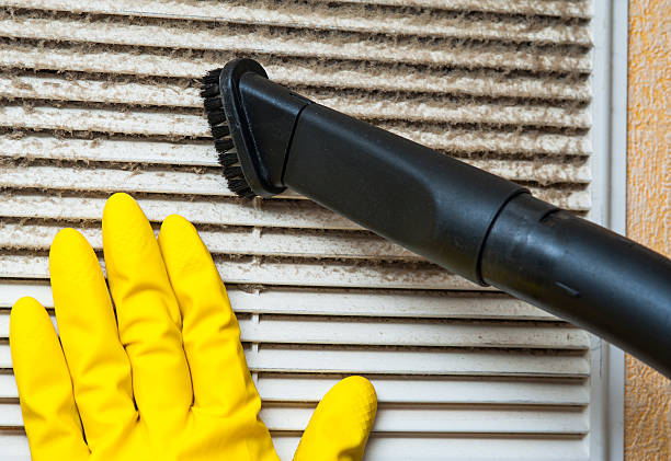 Best Home Air Vent Cleaning  in Hayneville, AL
